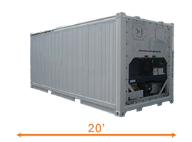 Container frigorifero 20'