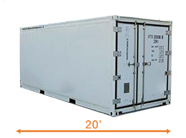 Container frigorifero 20' special